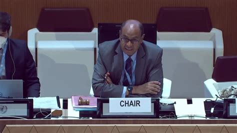 9th Meeting, 2nd Session Group of Governmental Experts on .